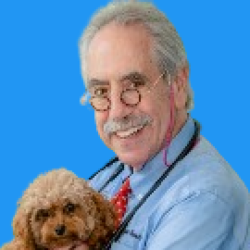 Doctor Andrew Turkell Veterinarian