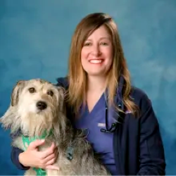 Doctor Allison Keil Veterinarian