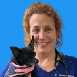 Doctor Christine Fellacher Veterinarian