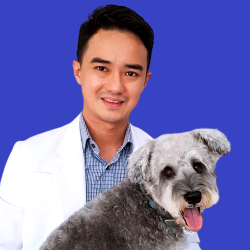 Dr Brian Loon Veterinarian