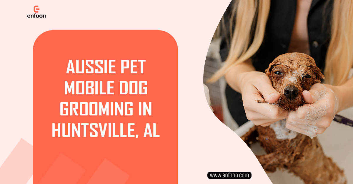 Aussie Pet Mobile Dog Grooming in Huntsville AL