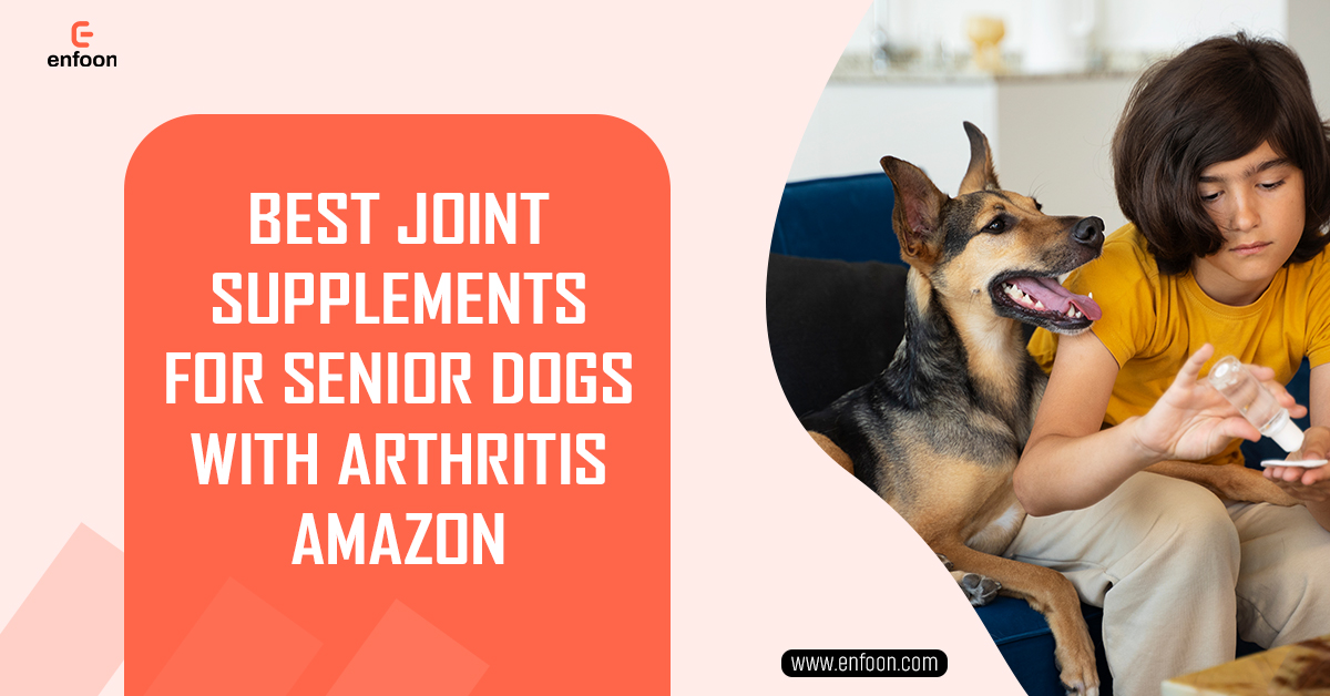 Best Joint Supplements for Senior Dogs with Arthritis Amazon