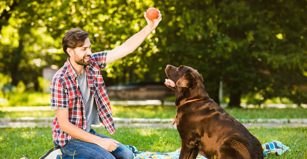 Bonding and Playtime with Owners