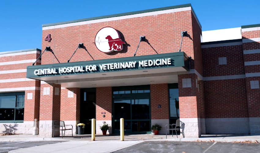 Central Hospital for Veterinary Medicine