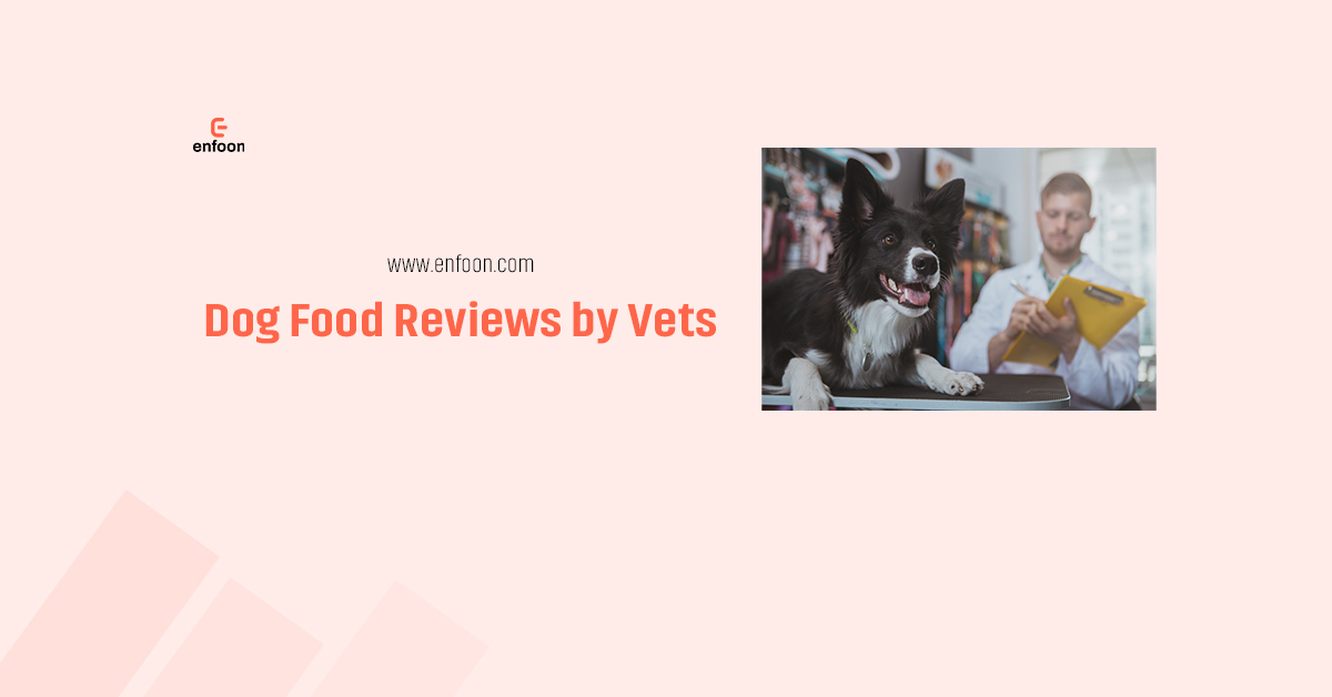 Dog Food Reviews by Vets