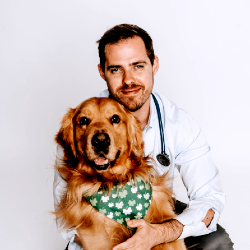 Dr Adam Miller Veterinarian