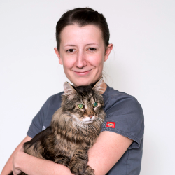 Dr Andrea Brodeur Veterinarian