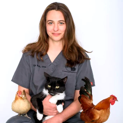 Dr Celeste Wells Veterinarian