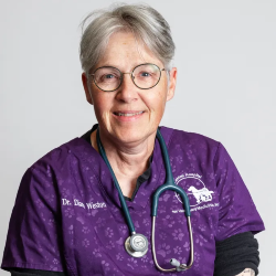 Dr Diana Weston Veterinarian