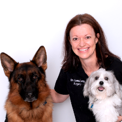 Dr Jennifer Lansdowne Veterinarian