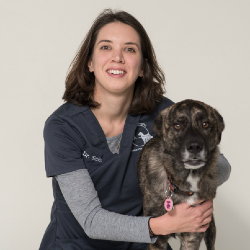 Dr Kristin Smith Veterinarian