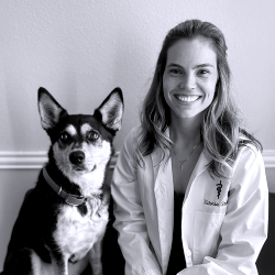 Dr Victoria Study Veterinarian