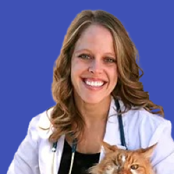 Dr Katie Siegfried Veterinarian