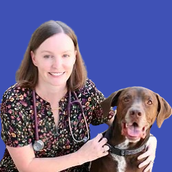 Dr Katrina Carroll Veterinarian