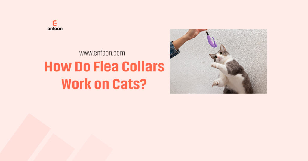 How Do Flea Collars Work on Cats