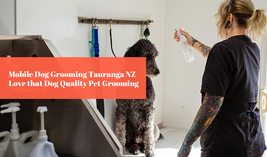 Mobile Dog Grooming Tauranga NZ Love that Dog Quality Pet Grooming