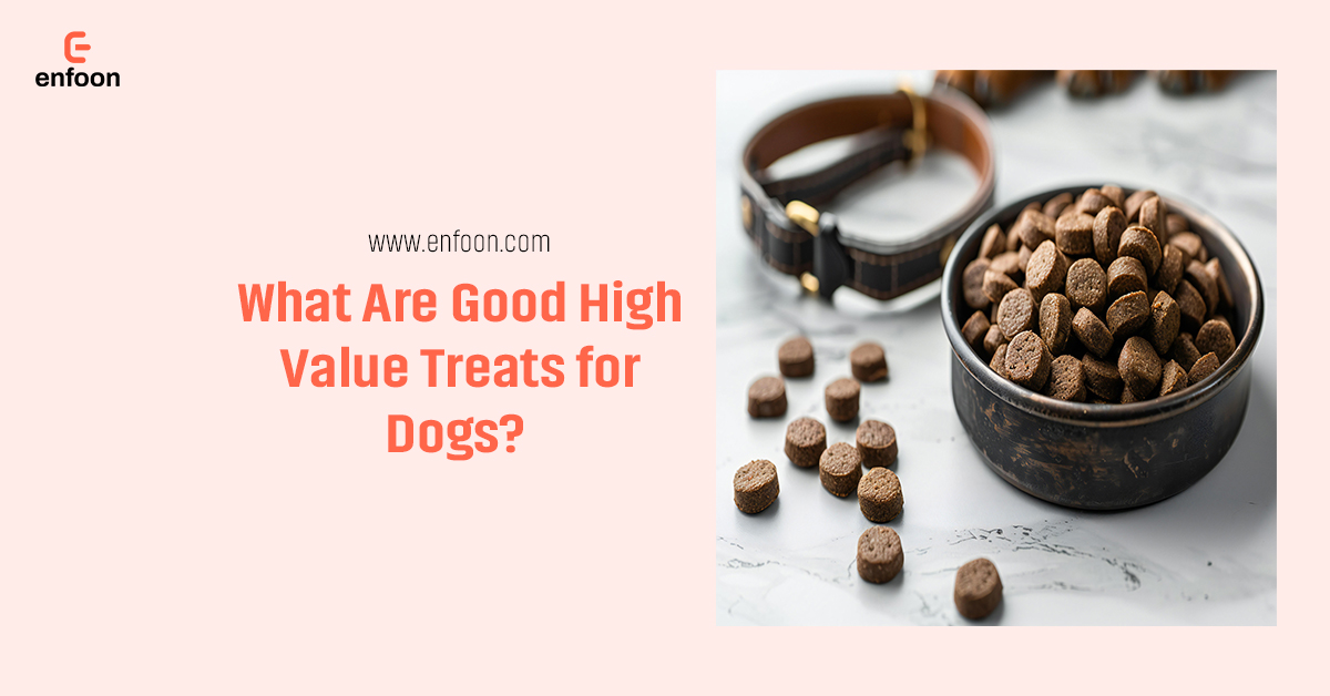 What Are Good High Value Treats for Dogs