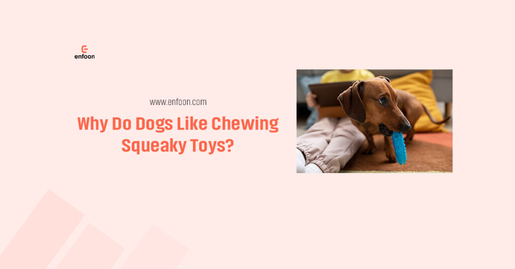 Why Do Dogs Like Chewing Squeaky Toys