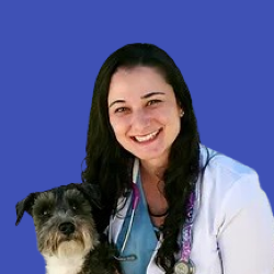 Dr Flavia Crovesi Veterinarian