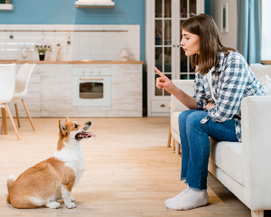 woman couch training her dog in home