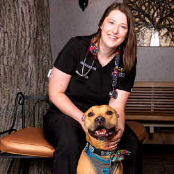 Dr Annelise M. Radzin Veterinarian