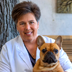 Dr Julie Letosky Veterinarian