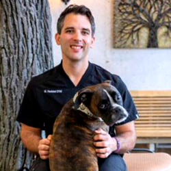 Dr Michael Haddad Veterinarian