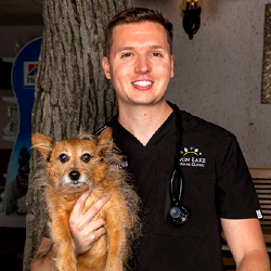 Dr Rob J. Holowecky Veterinarian