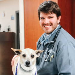 Dr James Reynolds Veterinarian