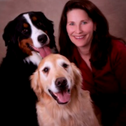 Dr Jody Elsen Veterinarian – Qualifications (DVM)