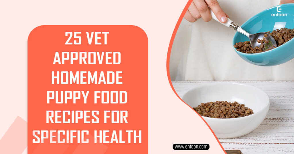 25 Vet Approved Homemade Puppy Food Recipes for Specific Health