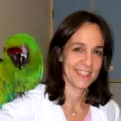 Dr Karen Cantor Veterinarian