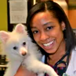 Dr Danielle Rutherford Veterinarian