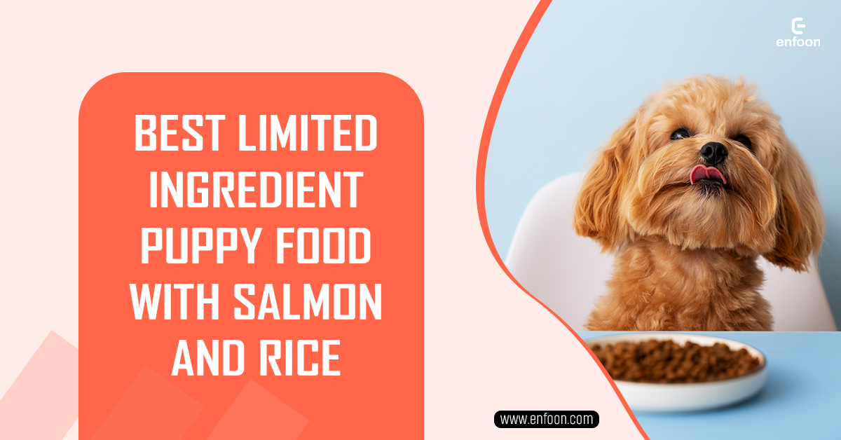 Best Limited Ingredient Puppy Food with Salmon and Rice