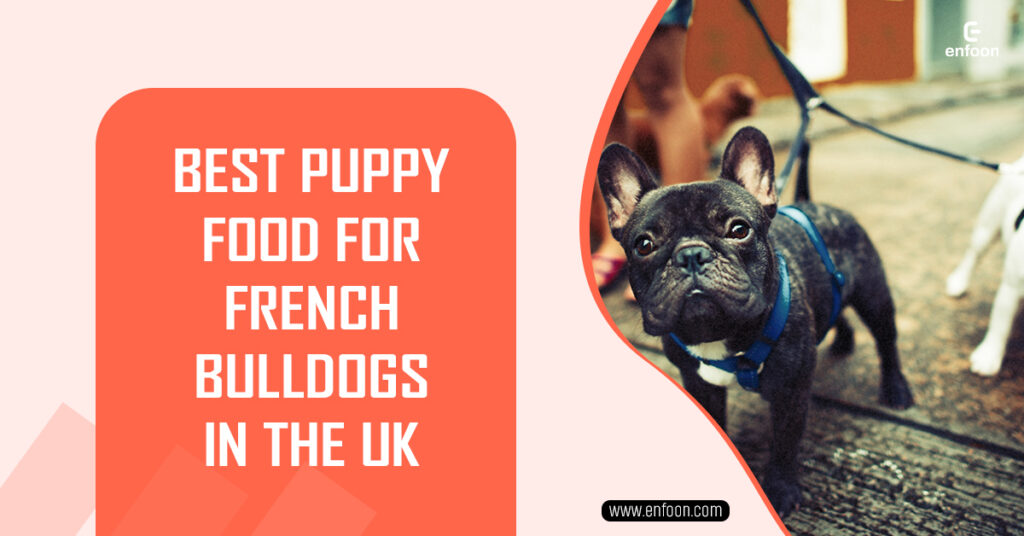 Best Puppy Food for French Bulldogs in the UK