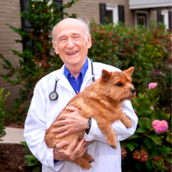 Dr Alex Bilello Veterinarian