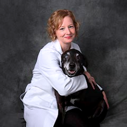 Dr Amanda Critchfield Veterinarian