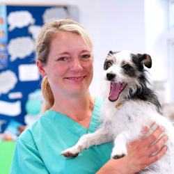 Dr Eliza Grout Veterinarian