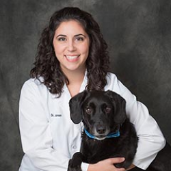 Dr Heather Jarrett Veterinarian