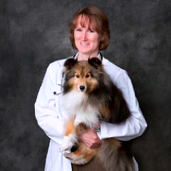 Dr Janet Figarra Veterinarian