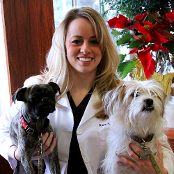 Dr Kate Salkeld Veterinarian