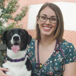 Dr Kristin Newby Veterinarian