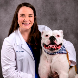 Dr Lauren Cryder Veterinarian