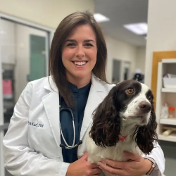 Dr Samantha Karl Veterinarian