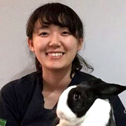 Dr Yui Tsutsumi Veterinarian