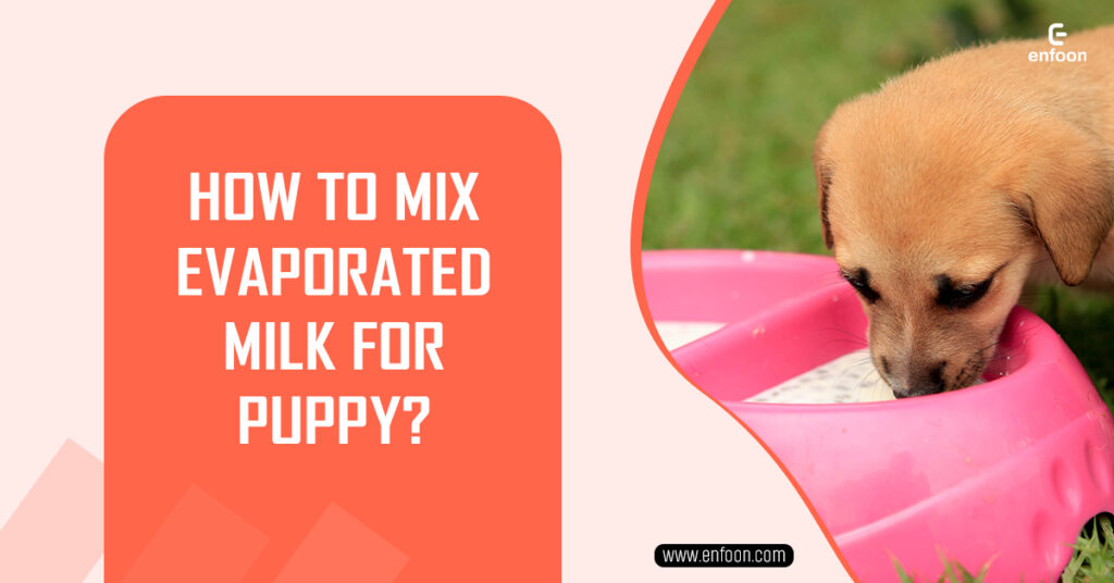 How to Mix Evaporated Milk for Puppy