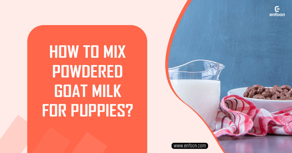 How to Mix Powdered Goat Milk for Puppies