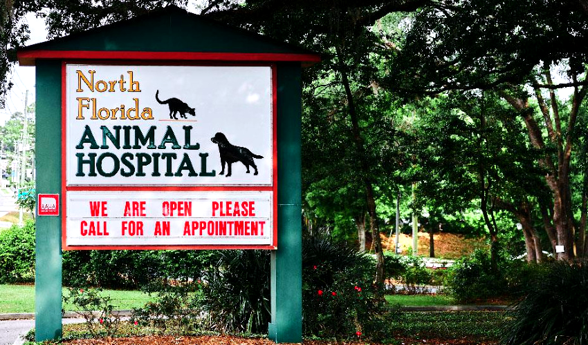 North Florida Animal Hospital