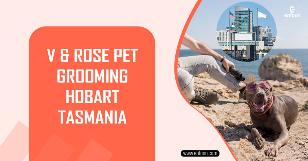 V & Rose Pet Grooming Hobart Tasmania