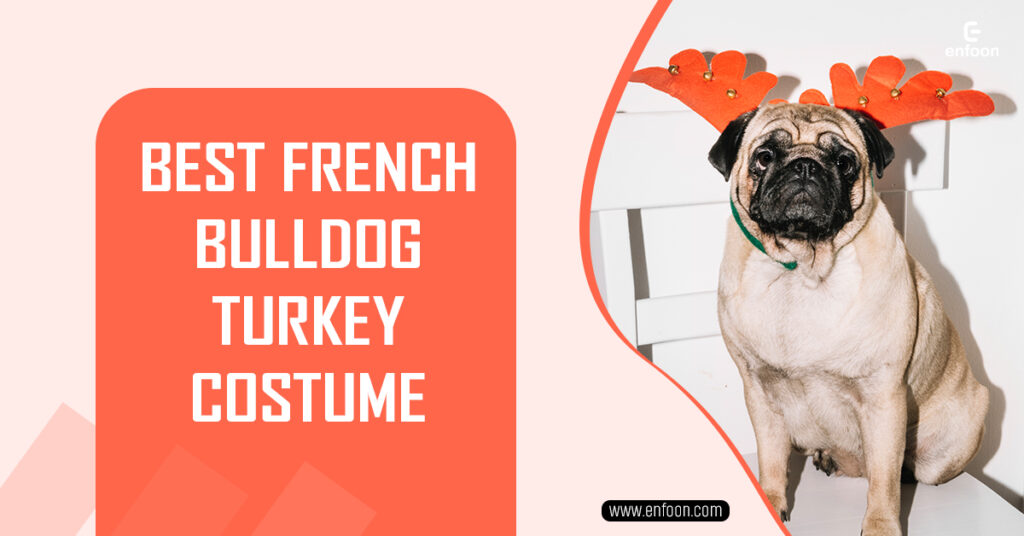 Best French Bulldog Turkey Costume